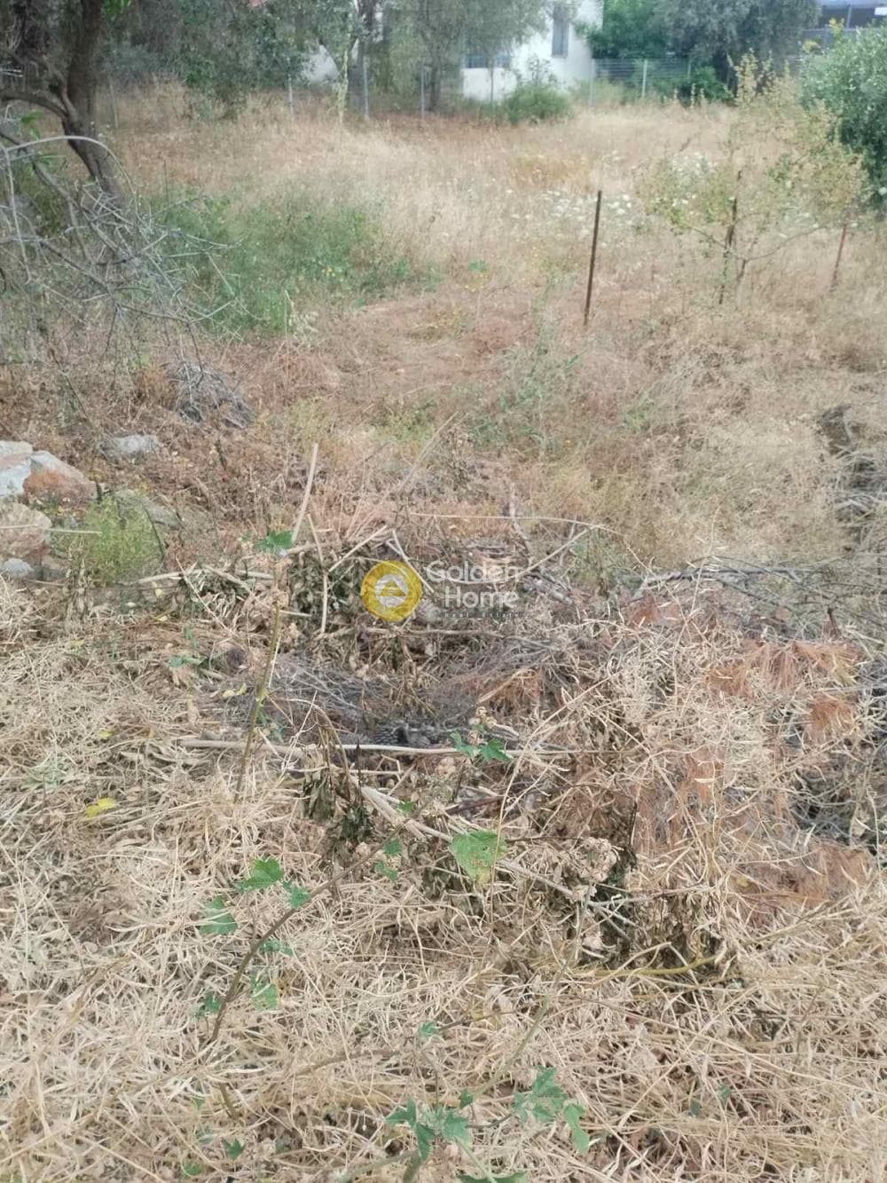 Building Plot in Selinia, Salamina — Photo 5 of 6