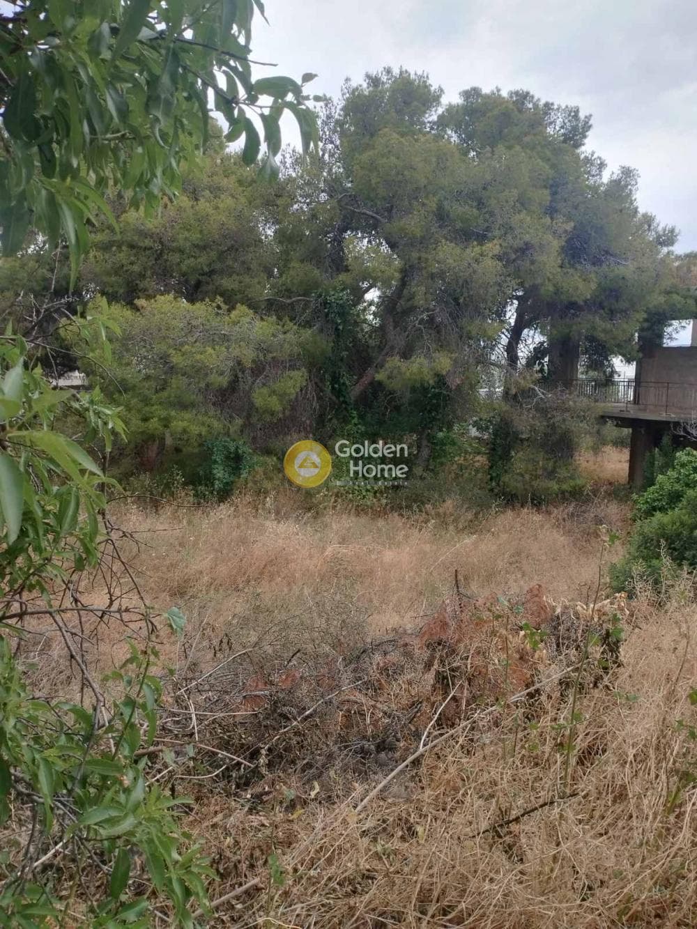 Building Plot in Selinia, Salamina — Photo 6 of 6