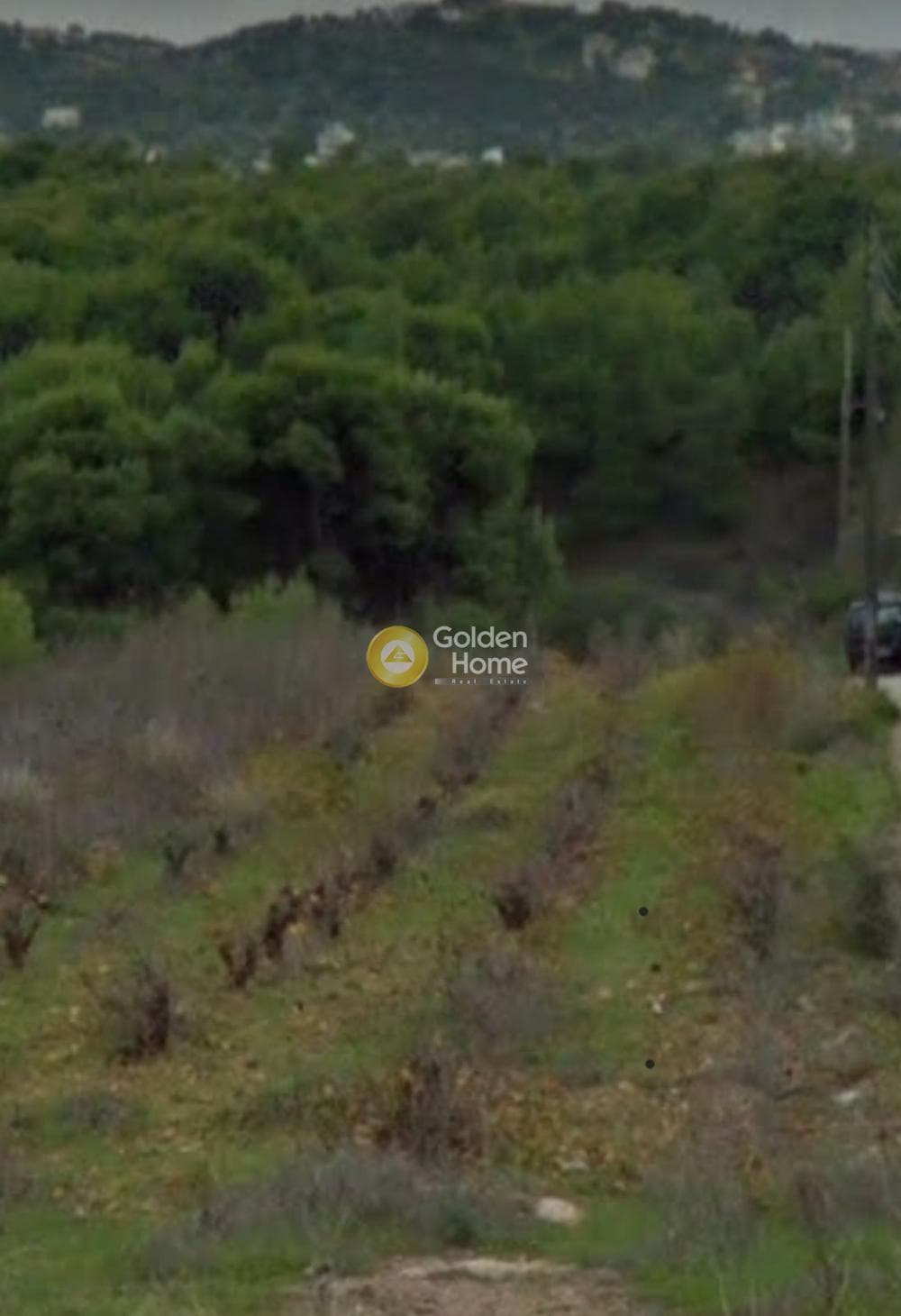 Αγροτεμάχιο στην Άγιος Σεραφείμ, Αρτέμιδα (Λούτσα) — Φωτογραφία 1 από 3