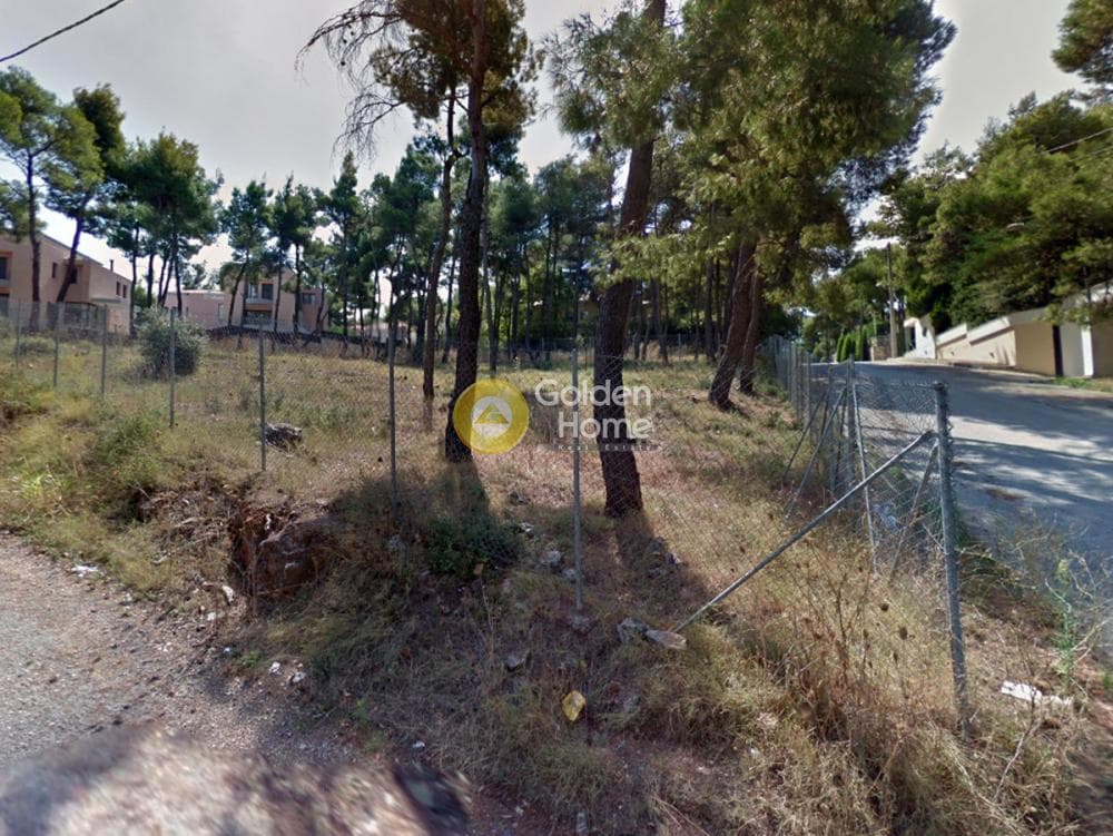 Building Plot in Rodopoli, Rodopoli — Photo 2 of 3