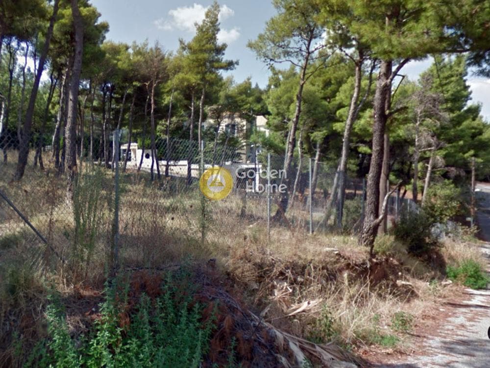 Building Plot in Rodopoli, Rodopoli — Photo 1 of 3