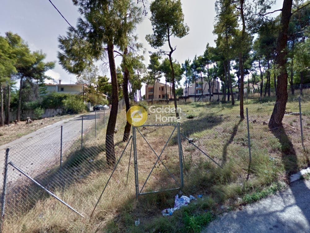Building Plot in Rodopoli, Rodopoli — Photo 3 of 3