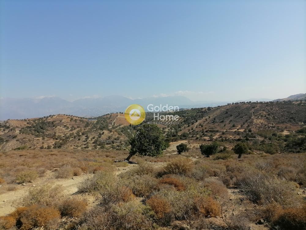 Οικόπεδο στην Πιτσίδια, Τυμπάκι — Φωτογραφία 5 από 24