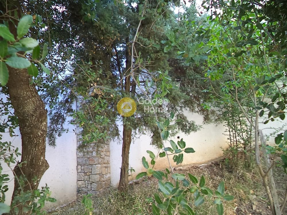 House in Pirgaki, Aigio — Photo 13 of 14