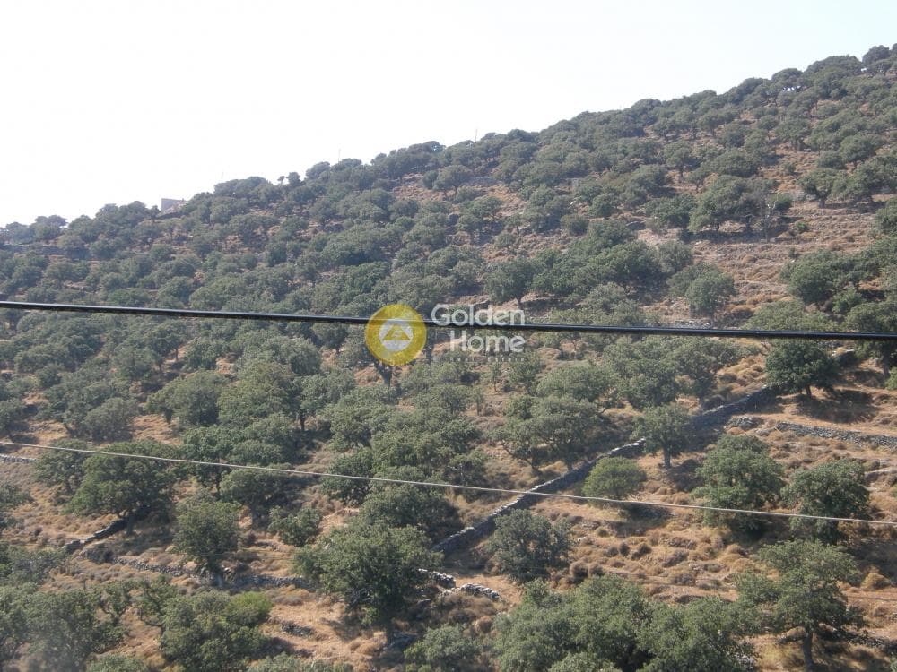 Parcel in Pera Meria, Kea