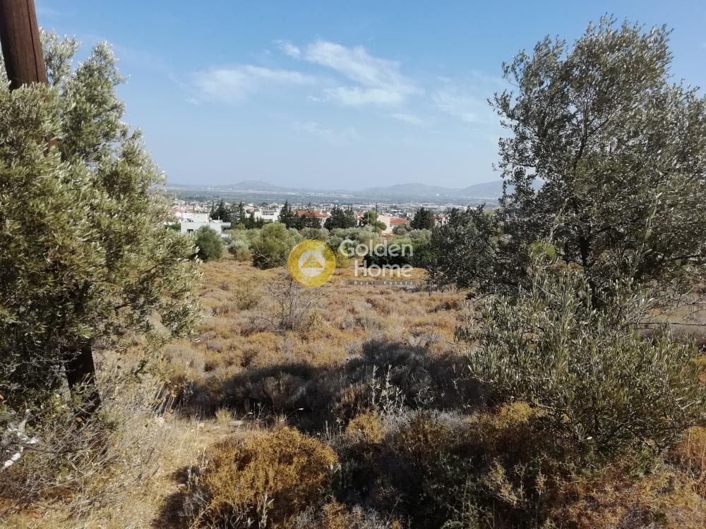 Οικόπεδο στην Μουσείο Βορρέ, Παιανία — Φωτογραφία 3 από 7