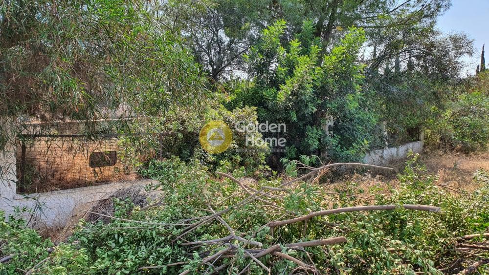 Building Plot in Chinitsa, Spetses — Photo 2 of 2