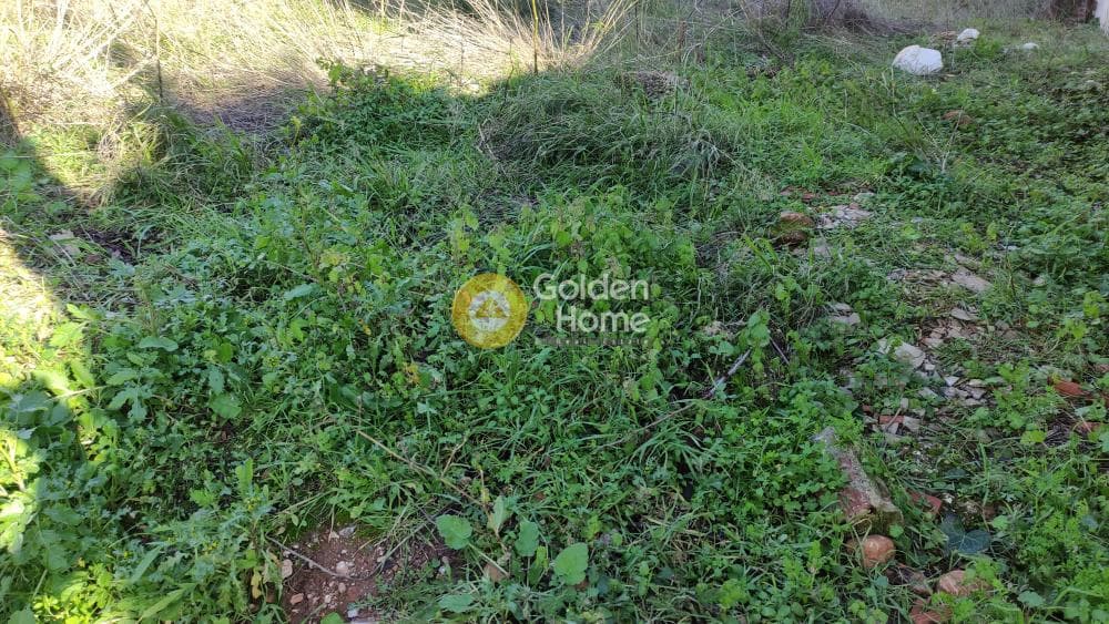 Οικόπεδο στην Σταυρός Γέρακα, Γέρακας