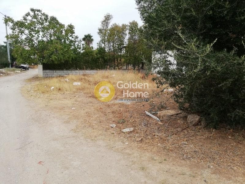 Αγροτεμάχιο στην Μεγάλα Σχοινία Α, Αχαρνές — Φωτογραφία 2 από 4