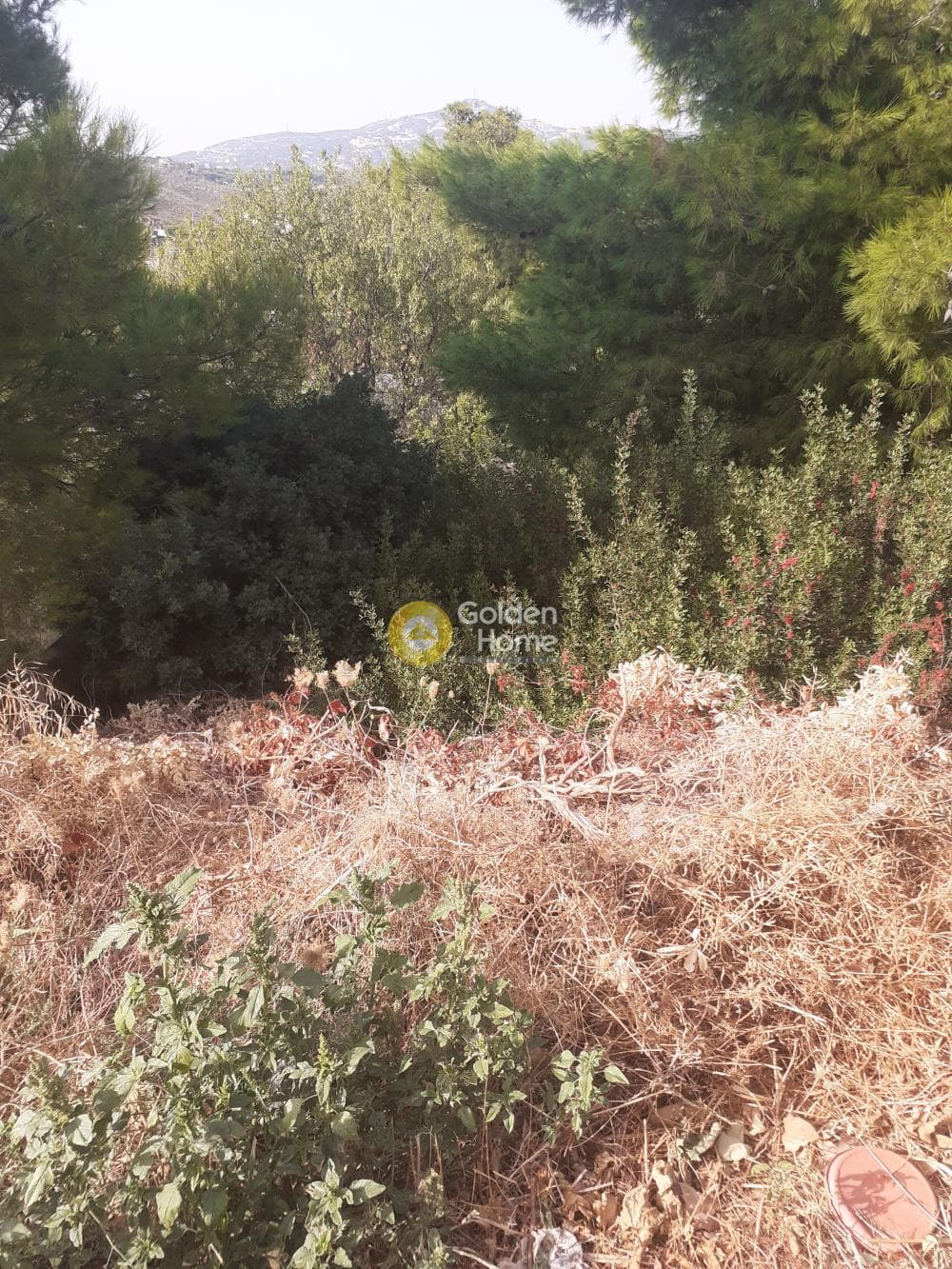 Building Plot in Anthousa, Anthoisa — Photo 1 of 3