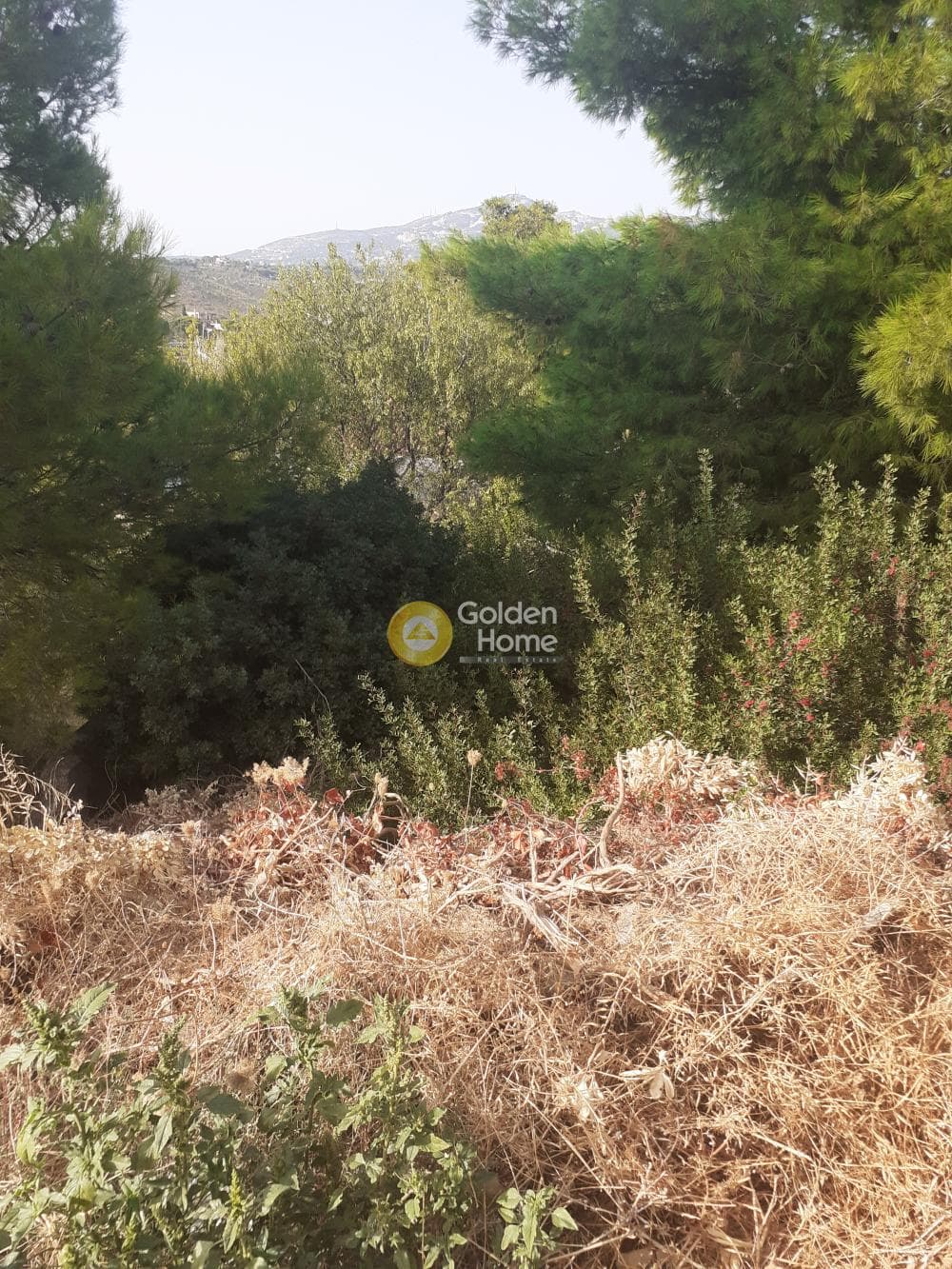 Building Plot in Anthousa, Anthoisa — Photo 2 of 3