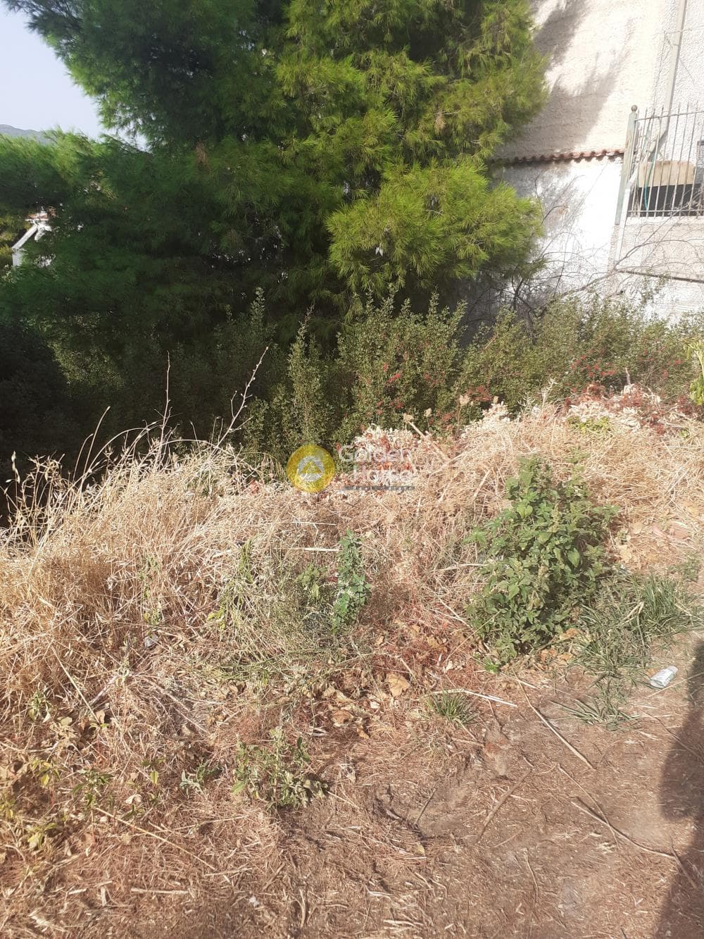 Building Plot in Anthousa, Anthoisa — Photo 3 of 3