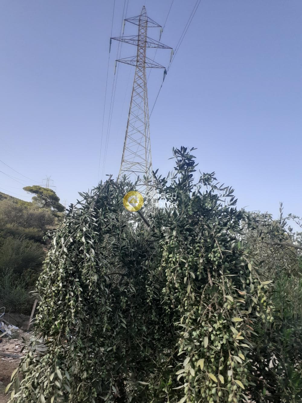 Αγροτεμάχιο στην Αγία Τριάδα, Παιανία — Φωτογραφία 3 από 4