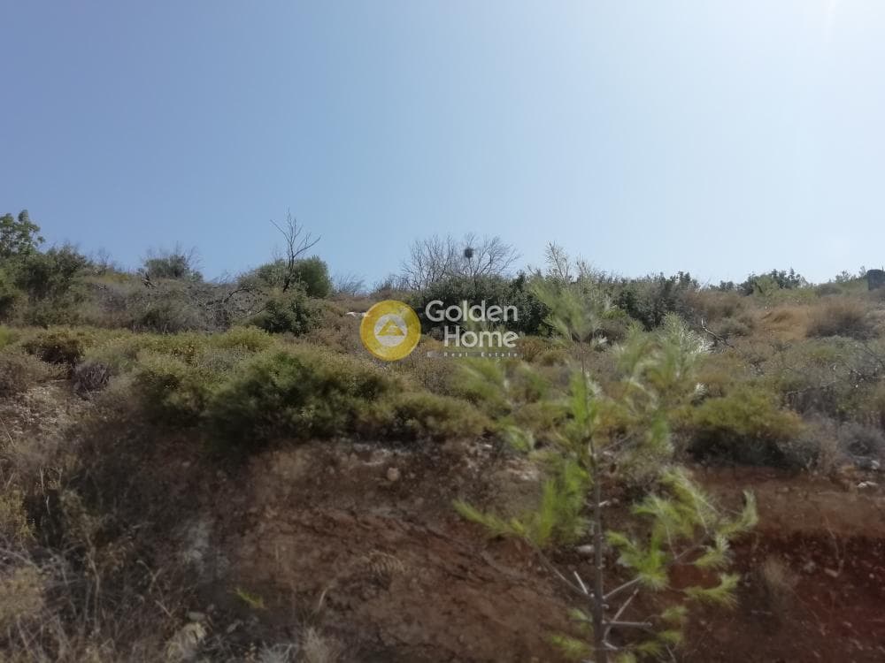 Building Plot in Limni Markopoulou, Markopoulo — Photo 5 of 7