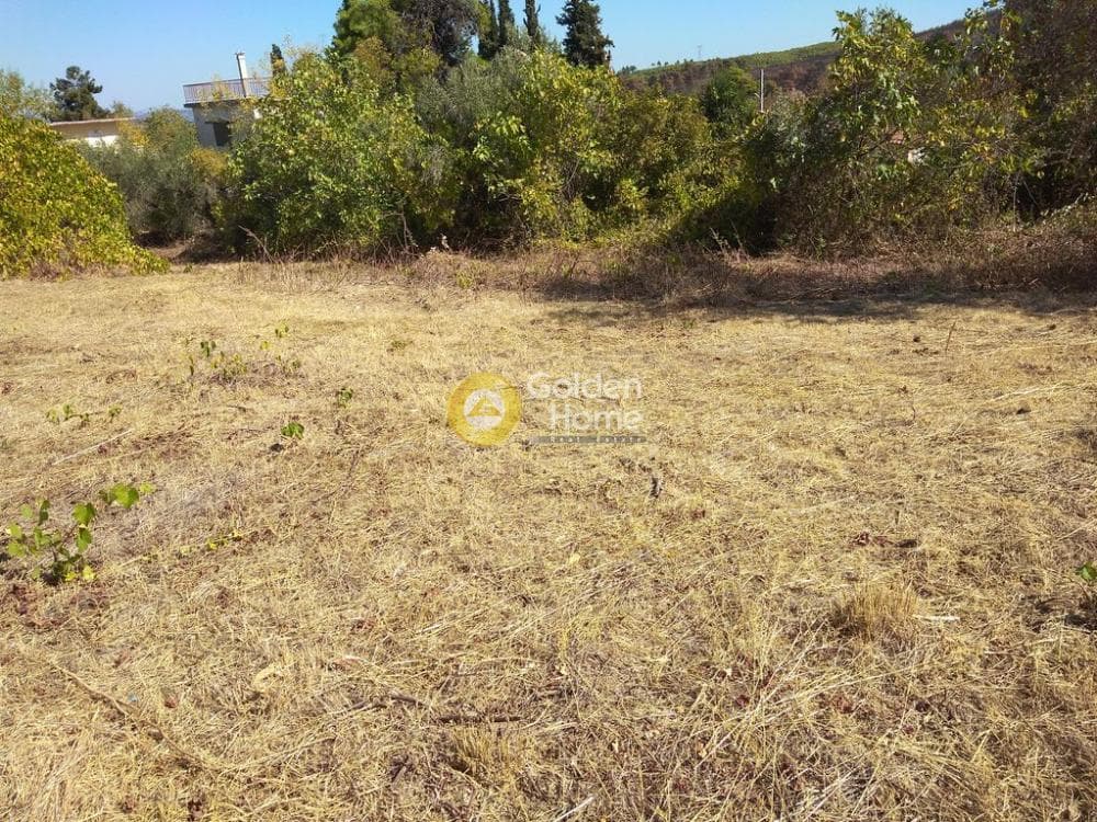Building Plot in Rodopoli, Rodopoli — Photo 6 of 10