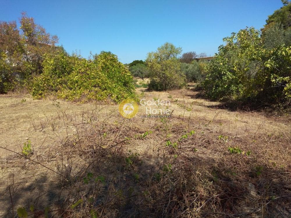 Building Plot in Rodopoli, Rodopoli — Photo 8 of 10