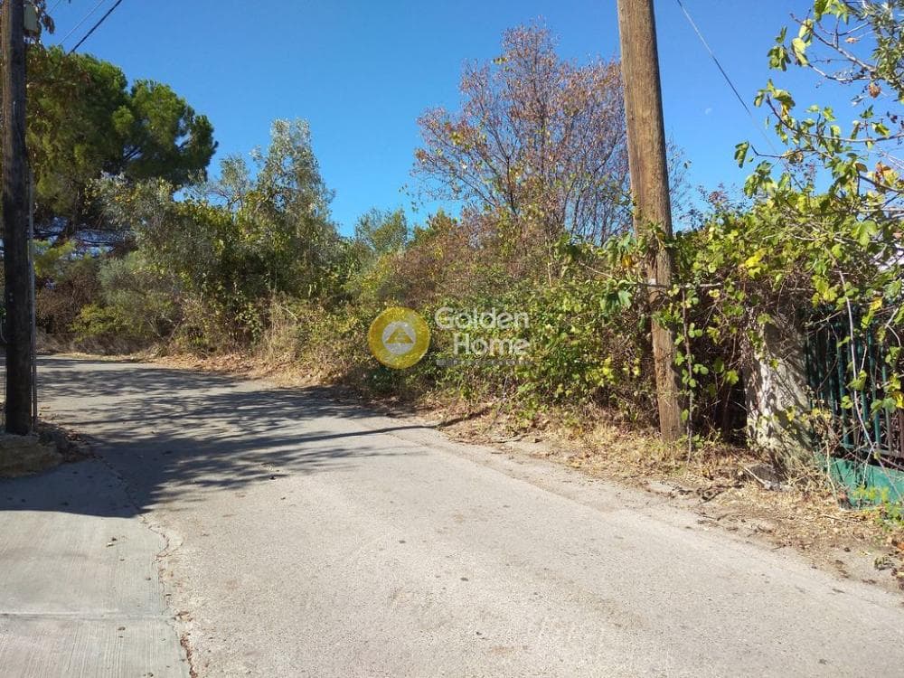 Building Plot in Rodopoli, Rodopoli — Photo 1 of 10