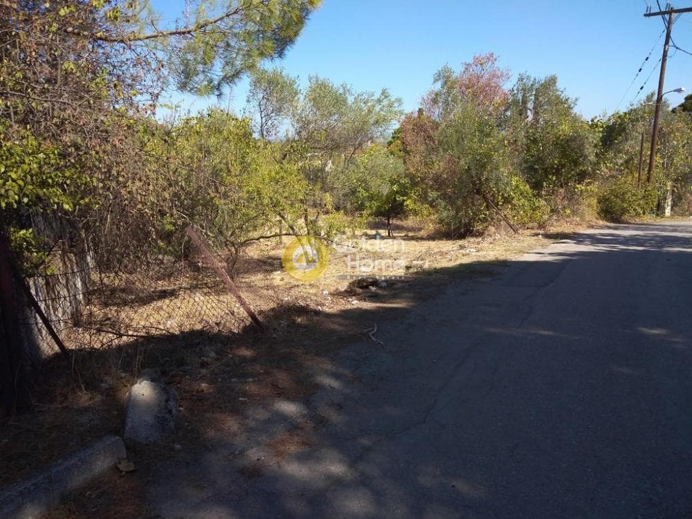 Building Plot in Rodopoli, Rodopoli — Photo 2 of 10