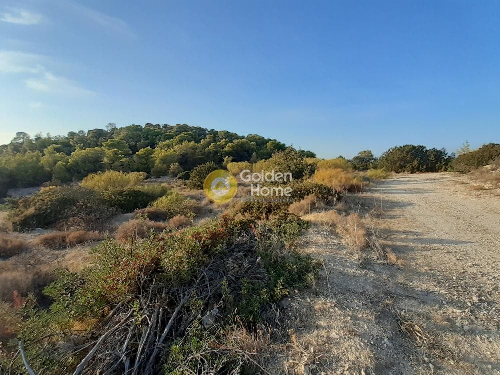 Building Plot in Mavromoutsouno, Aegina — Photo 2 of 6