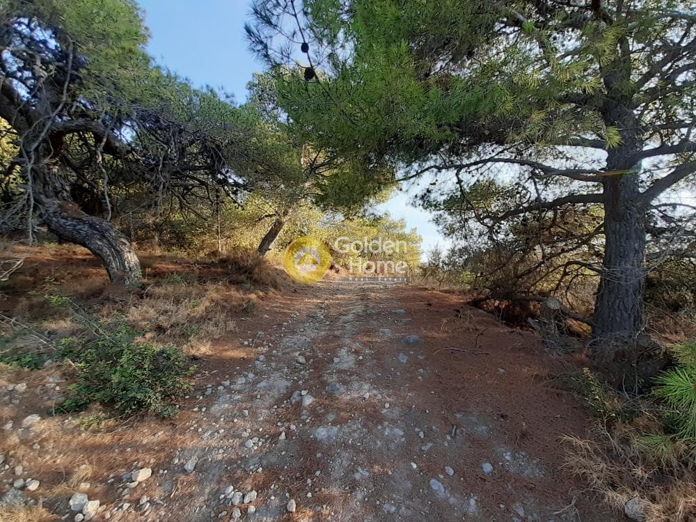 Building Plot in Mavromoutsouno, Aegina — Photo 5 of 6