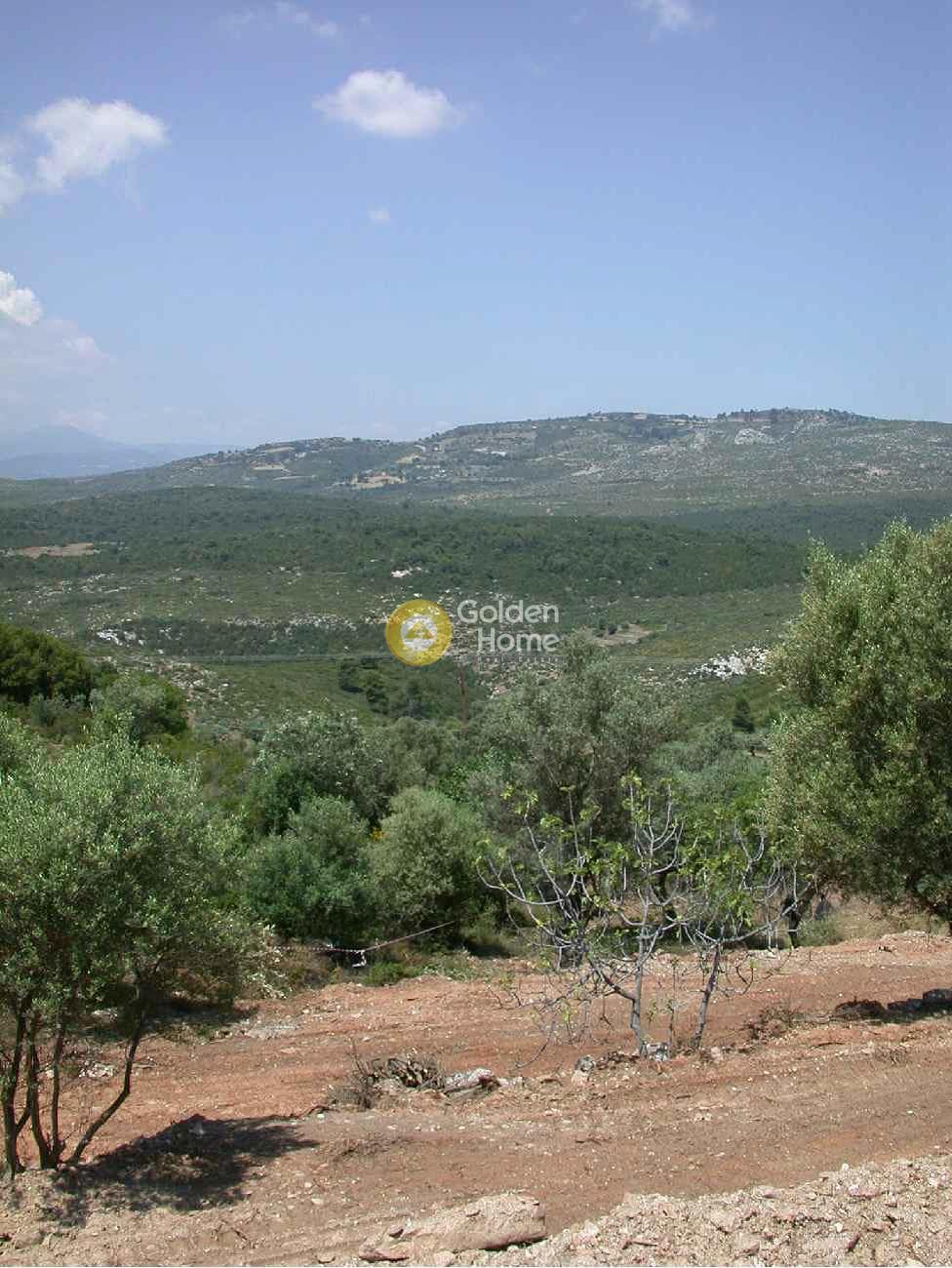 Οικόπεδο στην Άνω Σούλι, Γραμματικό