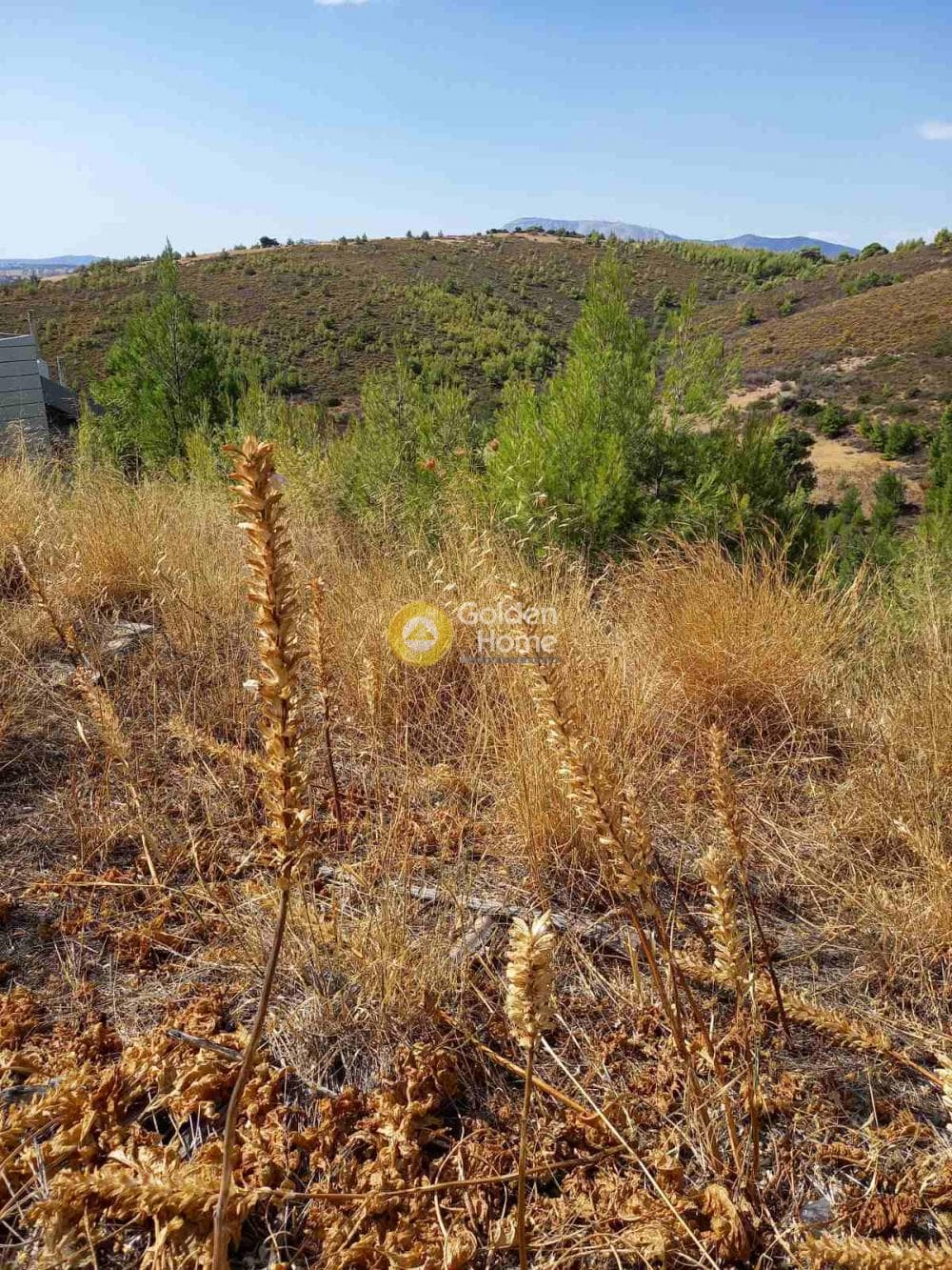 Building Plot in Oikismos Vgena, Rafina — Photo 1 of 2