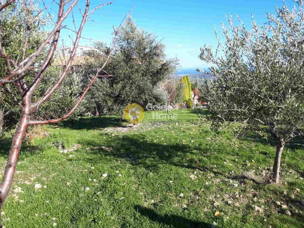 Οικόπεδο στην Άγιος Βλάσιος, Αρχάνες — Φωτογραφία 2 από 9