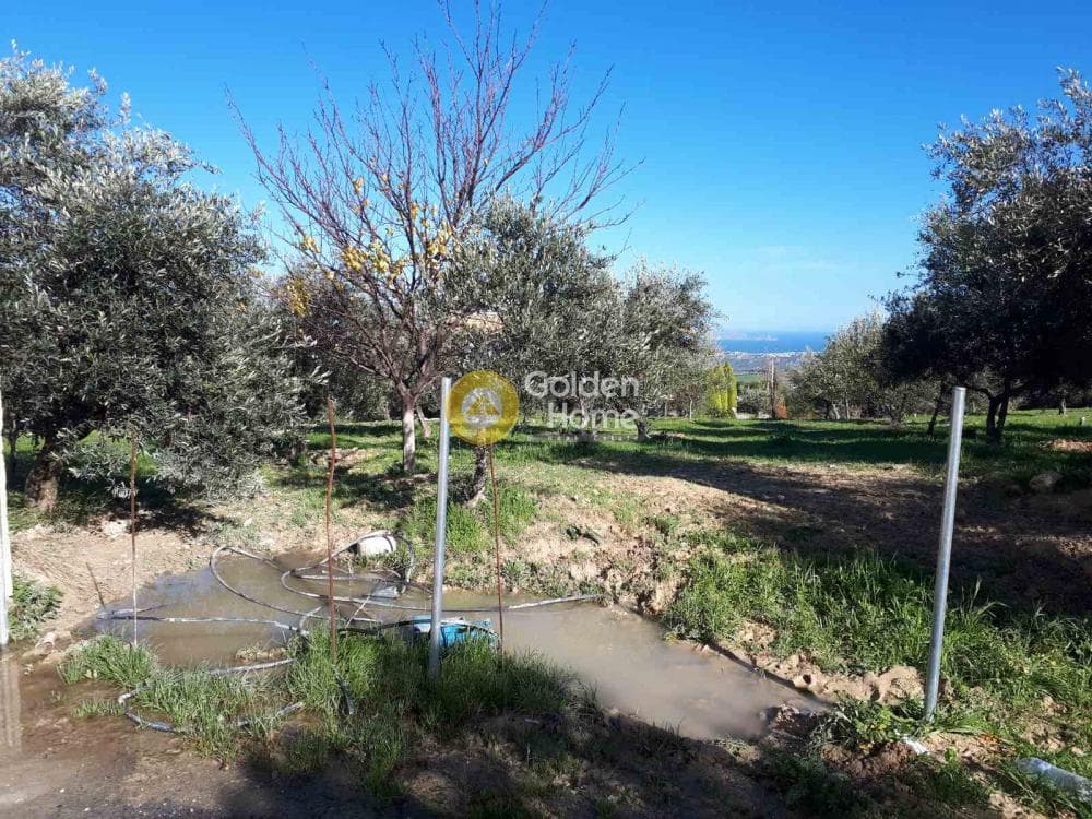 Οικόπεδο στην Άγιος Βλάσιος, Αρχάνες — Φωτογραφία 4 από 9