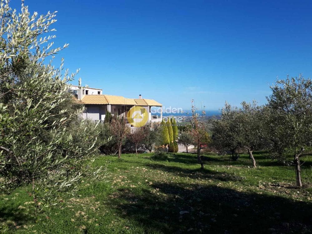 Οικόπεδο στην Άγιος Βλάσιος, Αρχάνες — Φωτογραφία 1 από 9