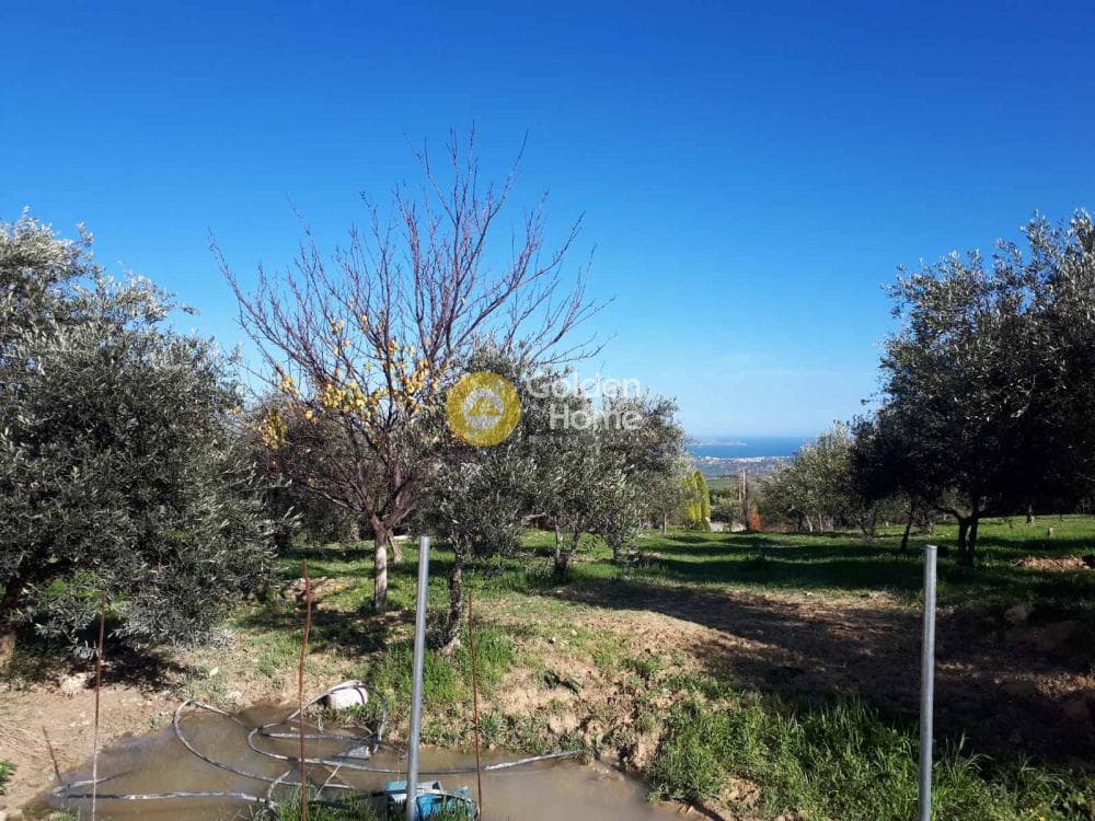 Οικόπεδο στην Άγιος Βλάσιος, Αρχάνες — Φωτογραφία 7 από 9