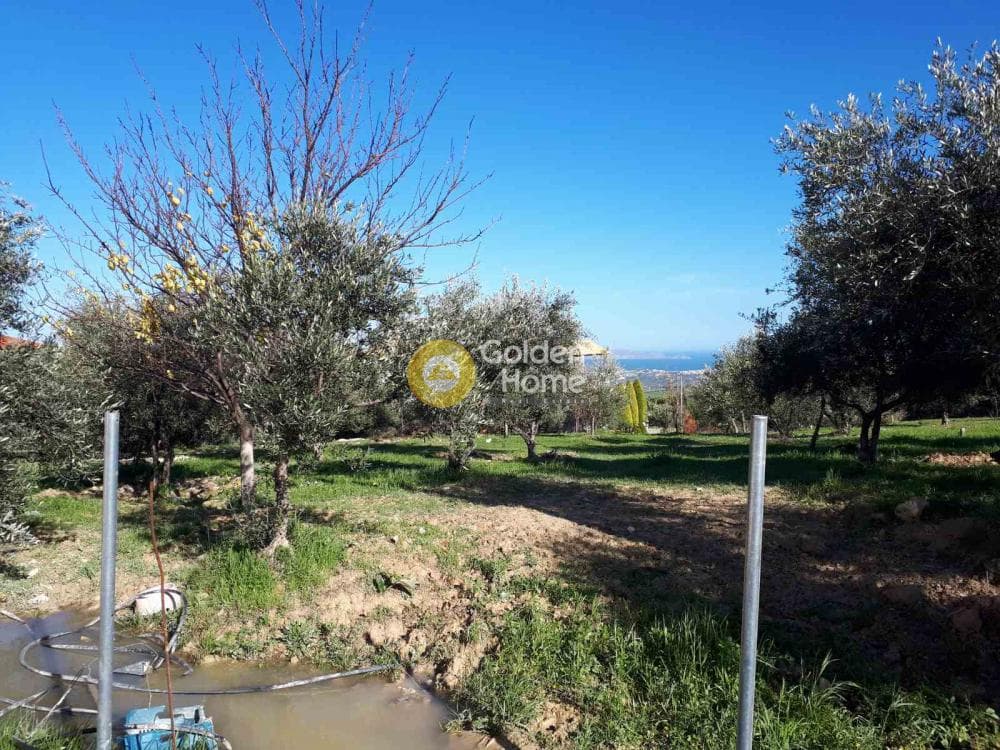 Οικόπεδο στην Άγιος Βλάσιος, Αρχάνες — Φωτογραφία 8 από 9