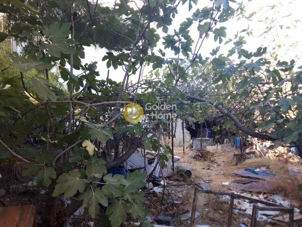 Οικόπεδο στην Γερόβουνο, Καματερό — Φωτογραφία 4 από 5