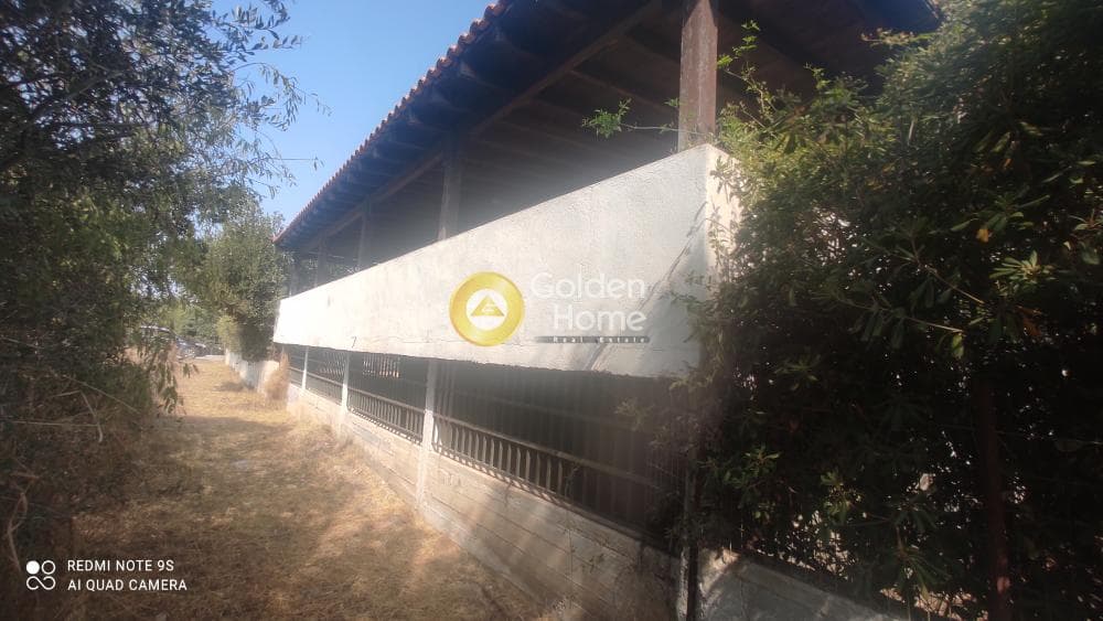 Building Plot in Kalivia, Kalivia Thorikou — Photo 4 of 6