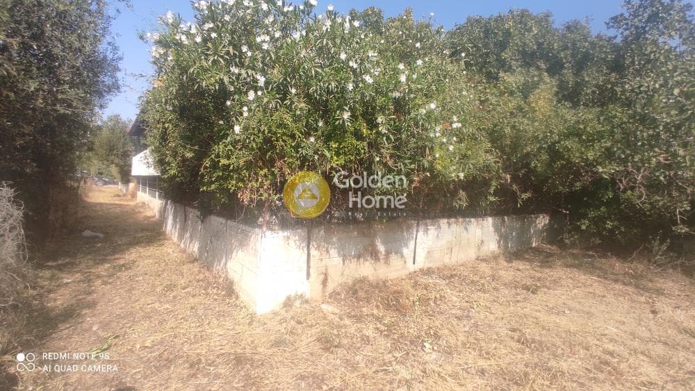 Building Plot in Kalivia, Kalivia Thorikou — Photo 5 of 6