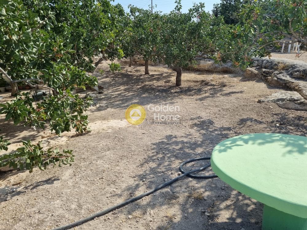 Building Plot in Kipseli, Aegina — Photo 7 of 31