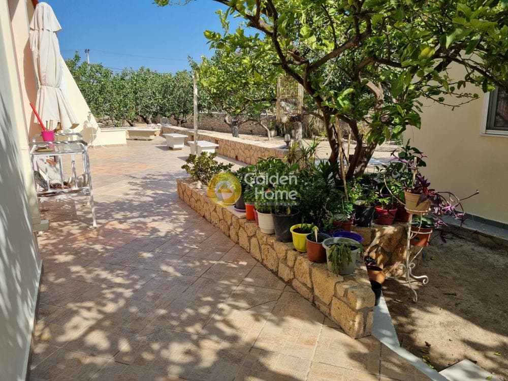Building Plot in Kipseli, Aegina — Photo 23 of 31