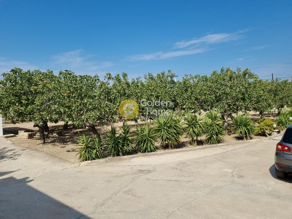 Building Plot in Kipseli, Aegina — Photo 3 of 31