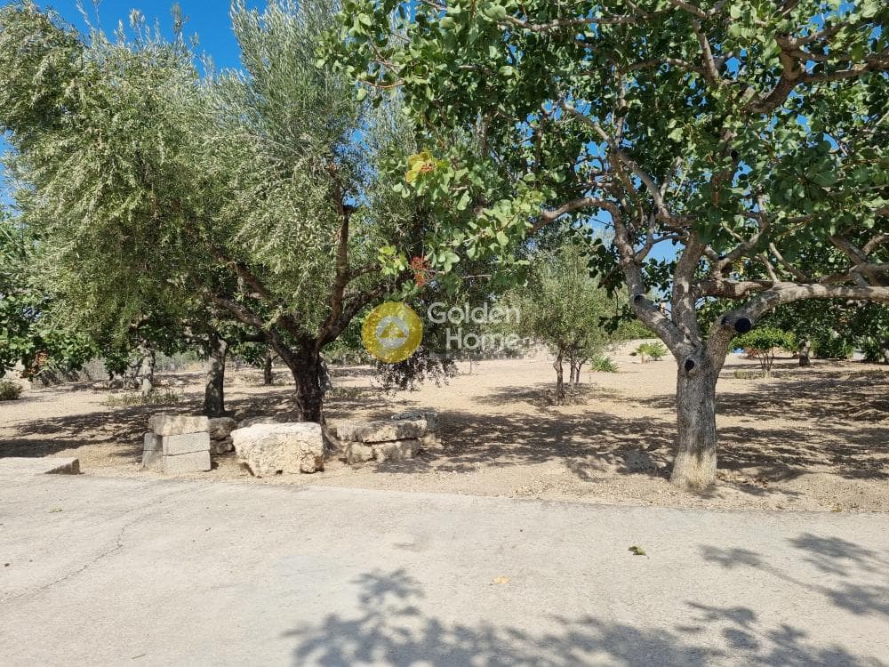 Building Plot in Kipseli, Aegina — Photo 10 of 31