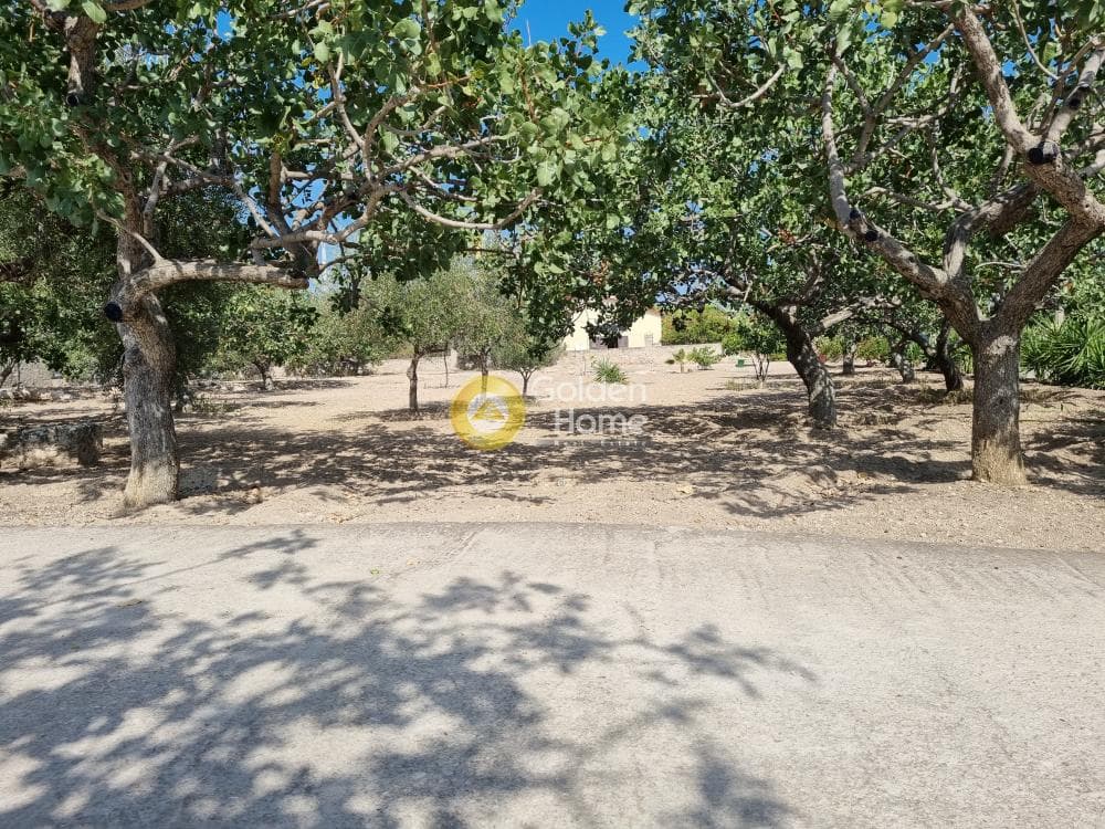 Building Plot in Kipseli, Aegina — Photo 11 of 31