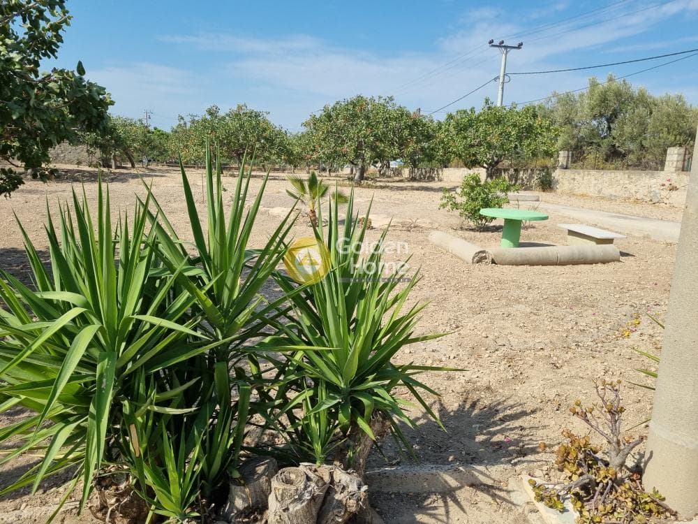 Building Plot in Kipseli, Aegina — Photo 4 of 31