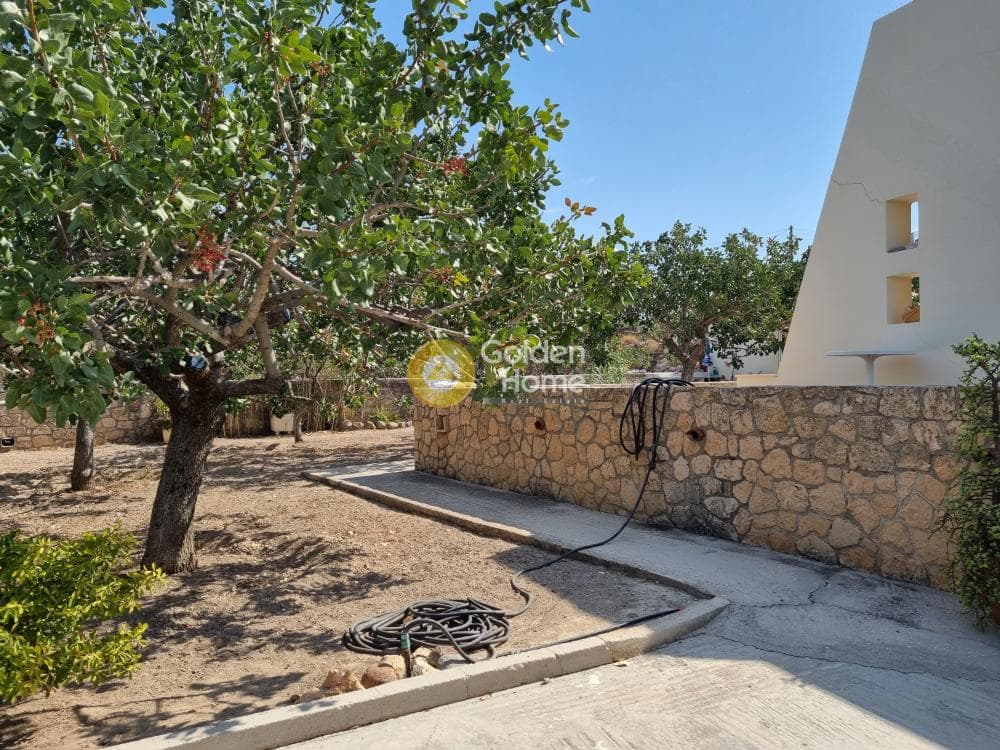 Building Plot in Kipseli, Aegina — Photo 19 of 31