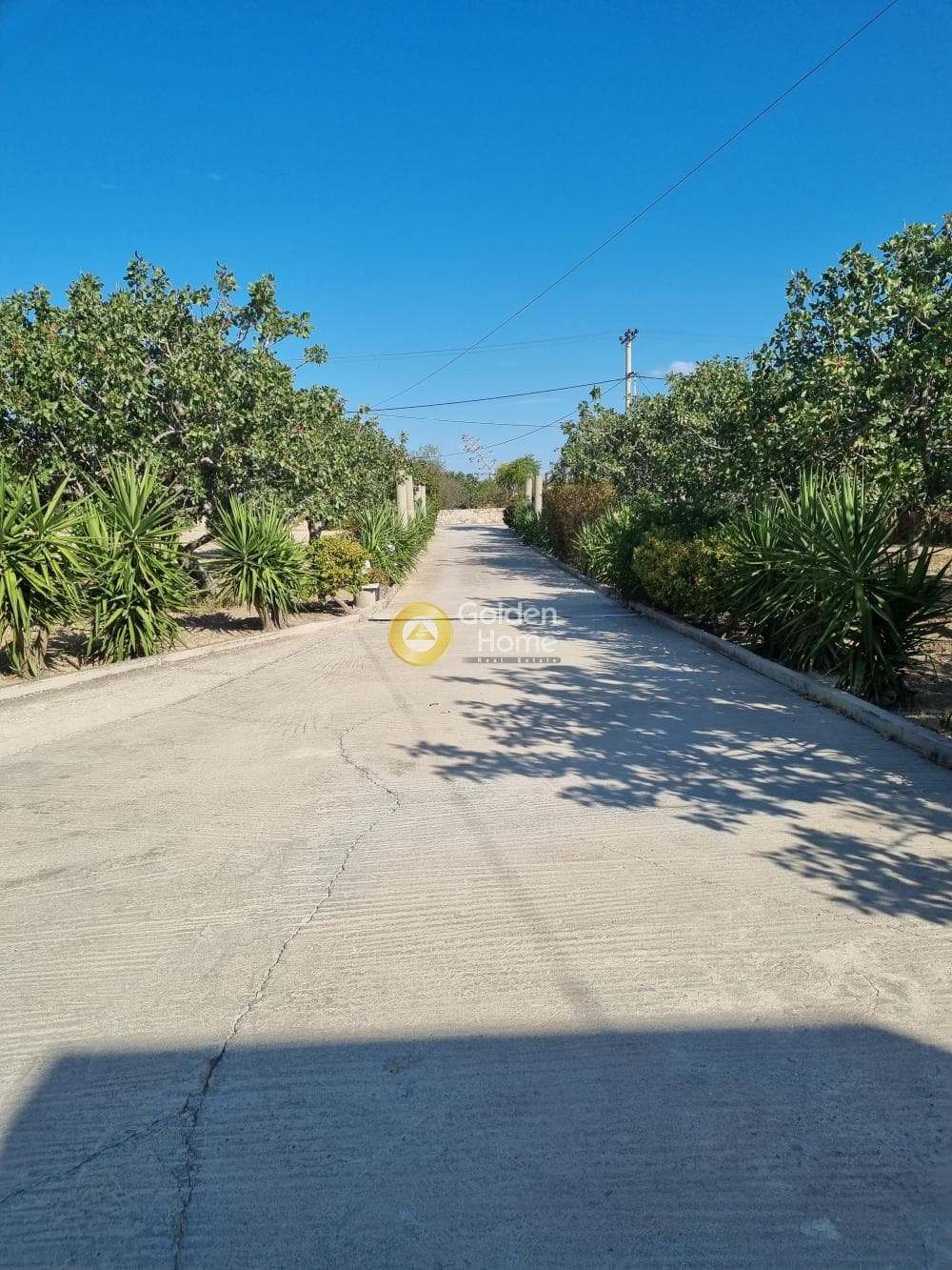 Building Plot in Kipseli, Aegina — Photo 1 of 31