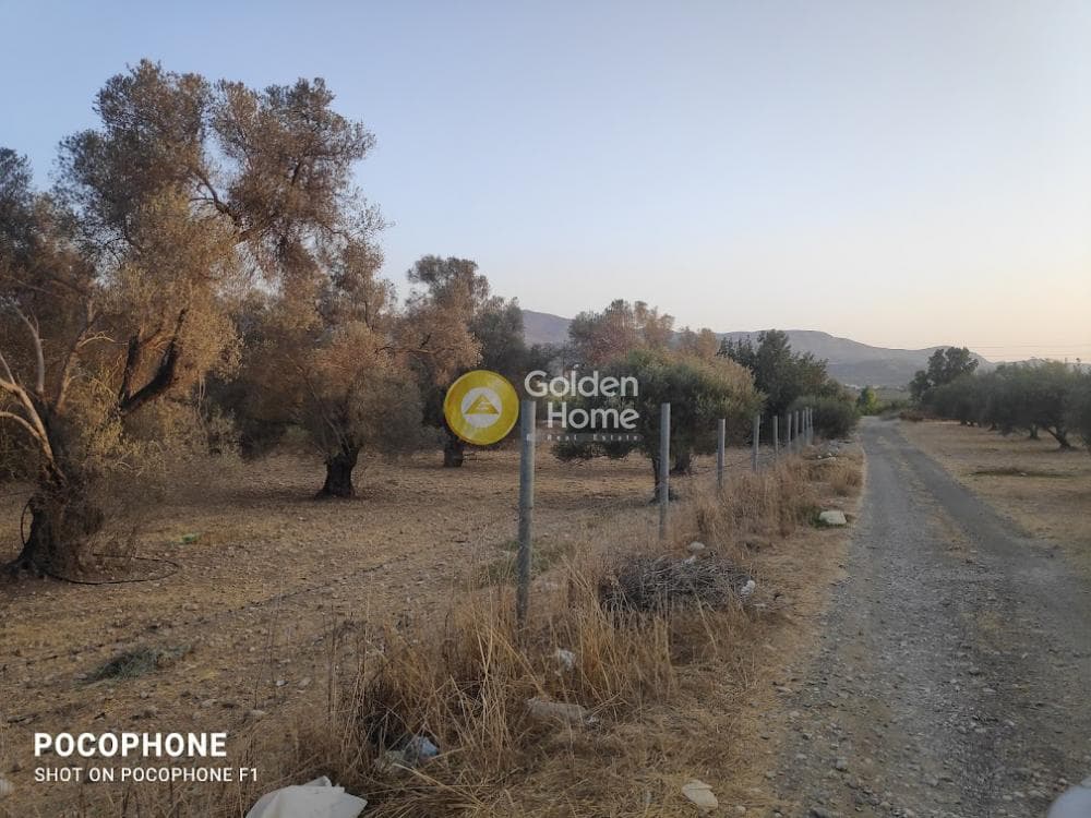 Parcel in Moni Kalivianis, Moires — Photo 6 of 34