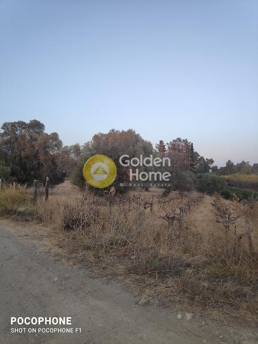 Parcel in Moni Kalivianis, Moires — Photo 3 of 34