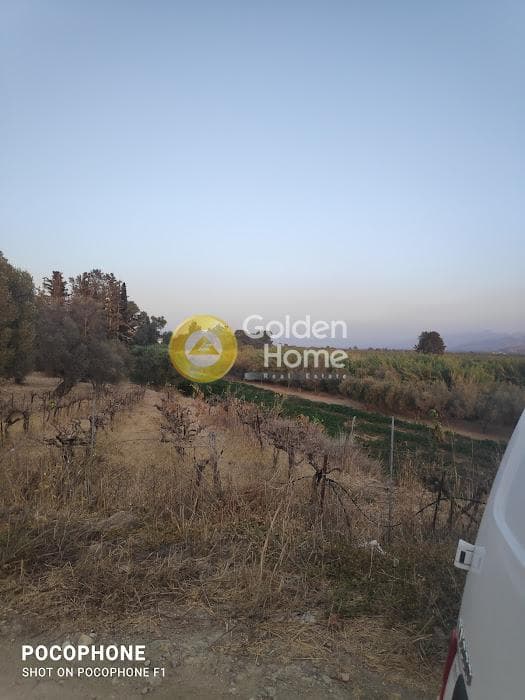 Parcel in Moni Kalivianis, Moires — Photo 5 of 34
