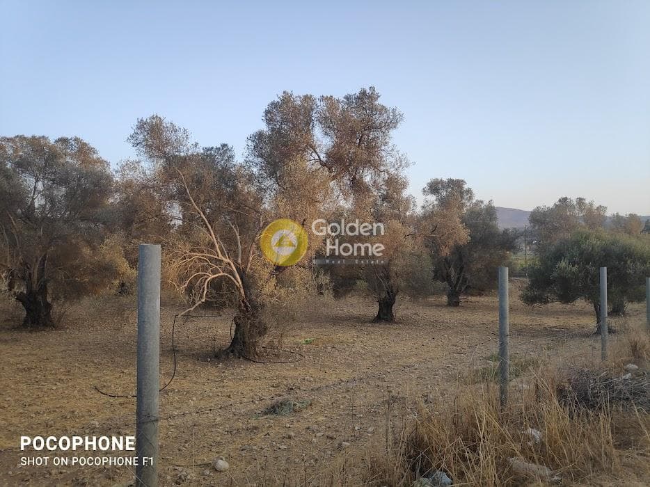 Parcel in Moni Kalivianis, Moires — Photo 7 of 34