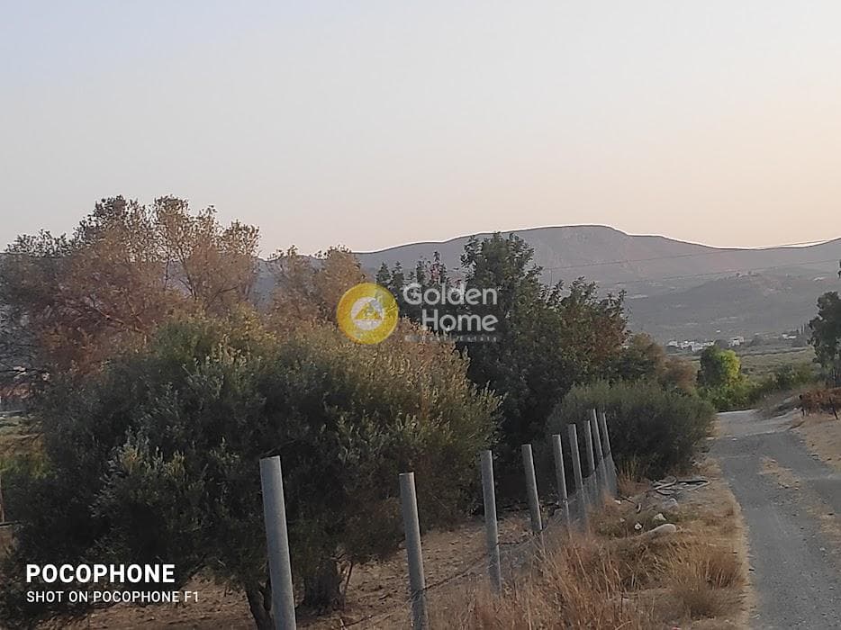 Parcel in Moni Kalivianis, Moires — Photo 8 of 34