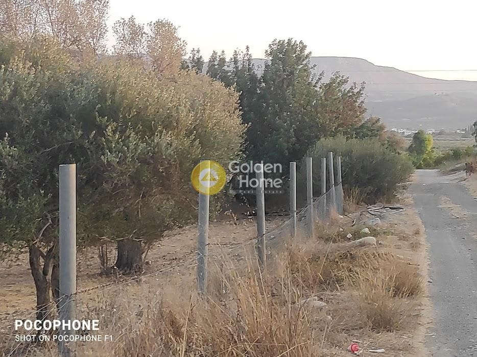 Parcel in Moni Kalivianis, Moires — Photo 9 of 34