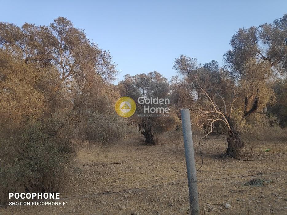 Parcel in Moni Kalivianis, Moires — Photo 10 of 34