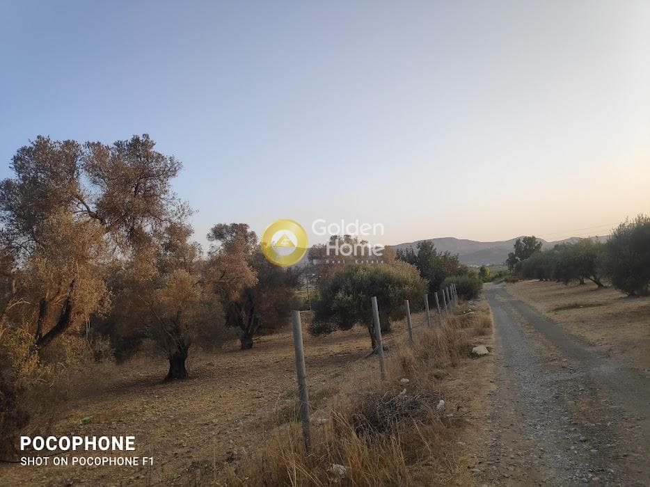 Parcel in Moni Kalivianis, Moires — Photo 11 of 34